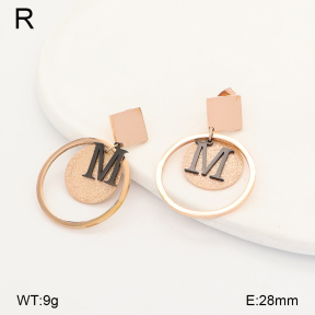 2E5000239ablb-363  Stainless Steel Earrings