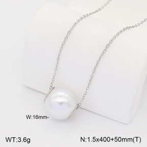 2N3003628aakl-775  Stainless Steel Necklace
