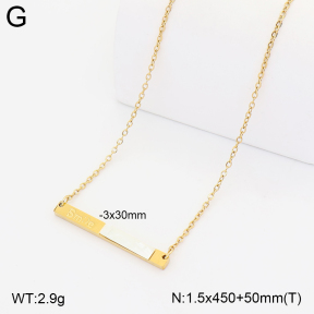 2N3003632vbll-775  Stainless Steel Necklace
