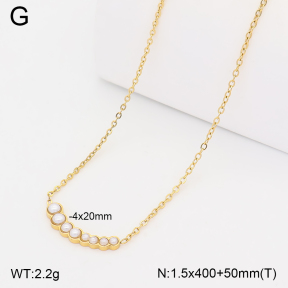 2N3003634vbll-775  Stainless Steel Necklace