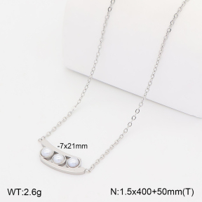 2N3003638aakl-775  Stainless Steel Necklace