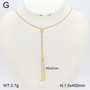 2N3003639vbll-775  Stainless Steel Necklace