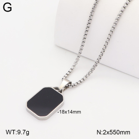 2N4005746ablb-749  Stainless Steel Necklace