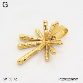 2P2006774ablb-436  Stainless Steel Pendant