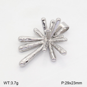 2P2006775baka-436  Stainless Steel Pendant