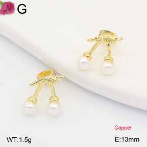 F2E301434ablb-J202  Fashion Copper Earrings