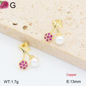 F2E301436ablb-J202  Fashion Copper Earrings