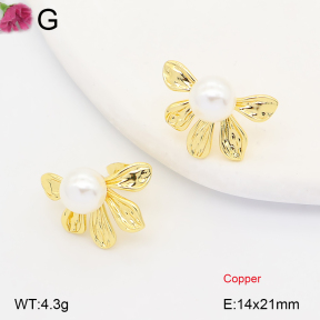 F2E301440ablb-J202  Fashion Copper Earrings