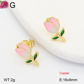 F2E301445ablb-J202  Fashion Copper Earrings