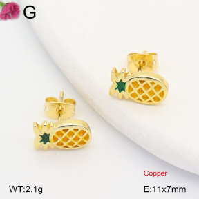 F2E301446ablb-J202  Fashion Copper Earrings