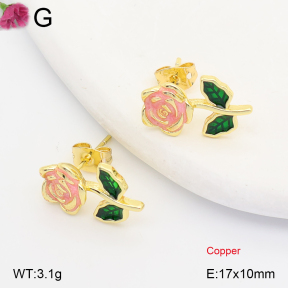 F2E301450ablb-J202  Fashion Copper Earrings