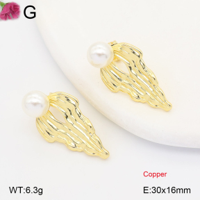 F2E301452ablb-J202  Fashion Copper Earrings