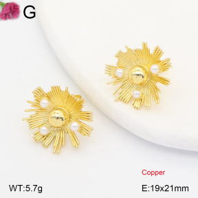 F2E301454ablb-J202  Fashion Copper Earrings