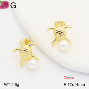 F2E301455ablb-J202  Fashion Copper Earrings