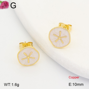 F2E301457ablb-J202  Fashion Copper Earrings