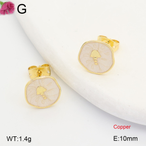 F2E301460ablb-J202  Fashion Copper Earrings