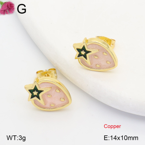 F2E301464ablb-J202  Fashion Copper Earrings