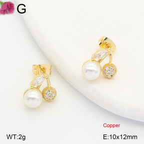 F2E301466ablb-J202  Fashion Copper Earrings