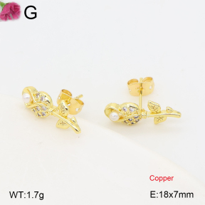 F2E402362ablb-J202  Fashion Copper Earrings