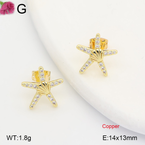 F2E402364ablb-J202  Fashion Copper Earrings