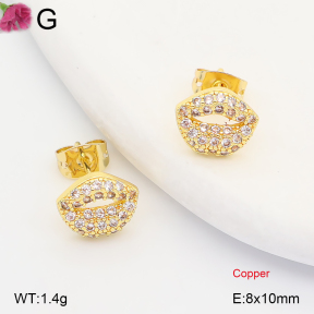 F2E402373ablb-J202  Fashion Copper Earrings