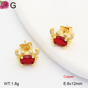 F2E402387ablb-J202  Fashion Copper Earrings
