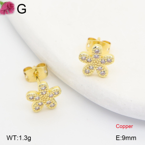 F2E402399ablb-J202  Fashion Copper Earrings