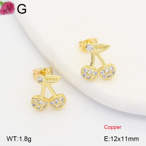 F2E402400ablb-J202  Fashion Copper Earrings