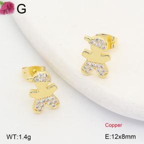 F2E402412ablb-J202  Fashion Copper Earrings