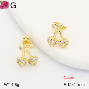 F2E402419ablb-J202  Fashion Copper Earrings