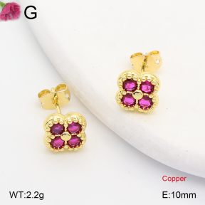 F2E402420ablb-J202  Fashion Copper Earrings