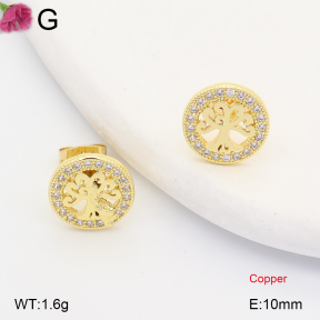 F2E402424ablb-J202  Fashion Copper Earrings