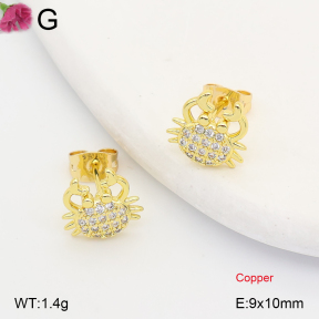 F2E402426ablb-J202  Fashion Copper Earrings