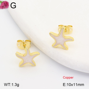 F2E402428ablb-J202  Fashion Copper Earrings