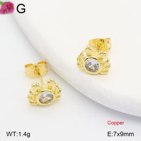 F2E402432ablb-J202  Fashion Copper Earrings