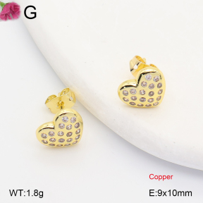 F2E402436ablb-J202  Fashion Copper Earrings