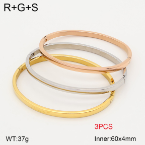 2BA202870vhol-731  Stainless Steel Bangle