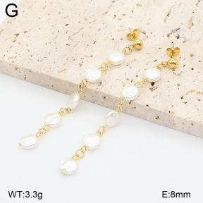 2E3004258aajo-731  Stainless Steel Earrings