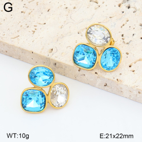 2E4005551vhll-649  Stainless Steel Earrings