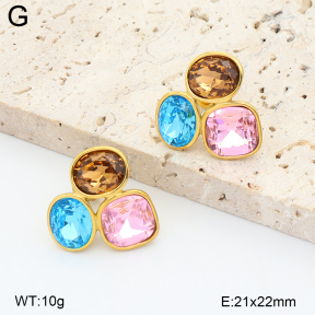 2E4005552vhll-649  Stainless Steel Earrings