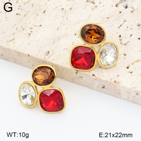 2E4005553vhll-649  Stainless Steel Earrings