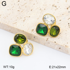 2E4005554vhll-649  Stainless Steel Earrings