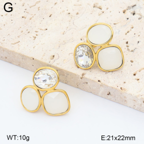 2E4005555vhll-649  Stainless Steel Earrings