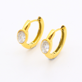 GEE001090ahjb-700  Zircon,Handmade Polished  9x6mm E:20mm  Stainless Steel Earrings