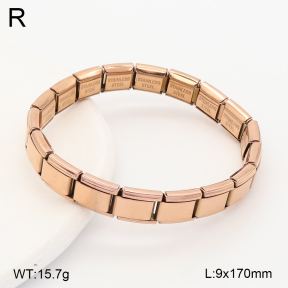 2B2006221vbmb-452  Stainless Steel Bracelet