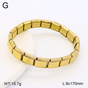 2B2006222vbmb-452  Stainless Steel Bracelet