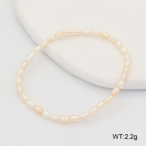 2B3004724biib-312  Stainless Steel Bracelet