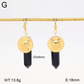 2E4005576ahlv-666  Stainless Steel Earrings