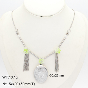 2N4005811ahlv-666  Stainless Steel Necklace