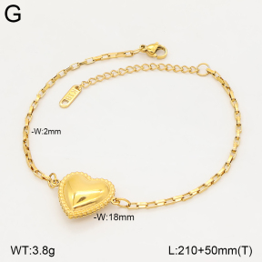 2B2006199aakl-434  Stainless Steel Bracelet